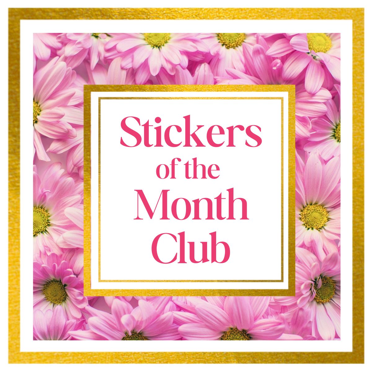 Stickers of the Month Club – Subscription - Ana Bean Paper Co.